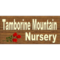 Tamborine mountain nursery