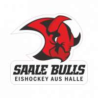 Saale bulls