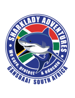 Sharklady adventures