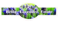 Bella lavender estate