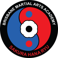 Brisbane martial arts academy