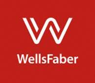 Wellsfaber (pty) limited