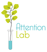 Attention lab